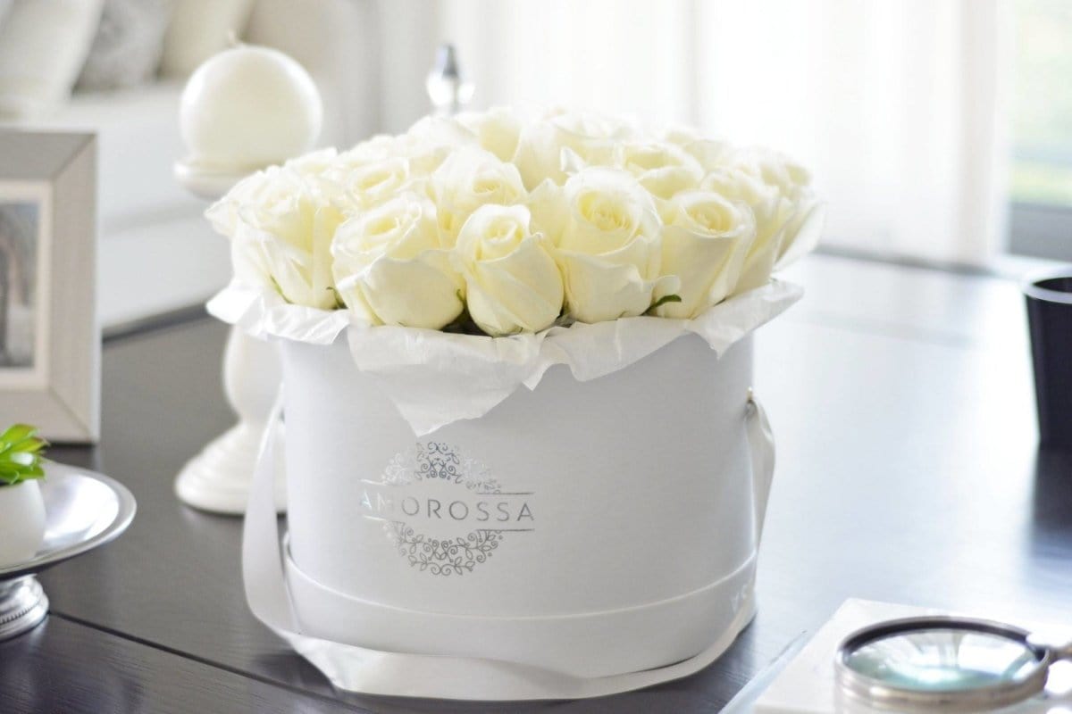 Regala LAVAN 24 - AMOROSSA