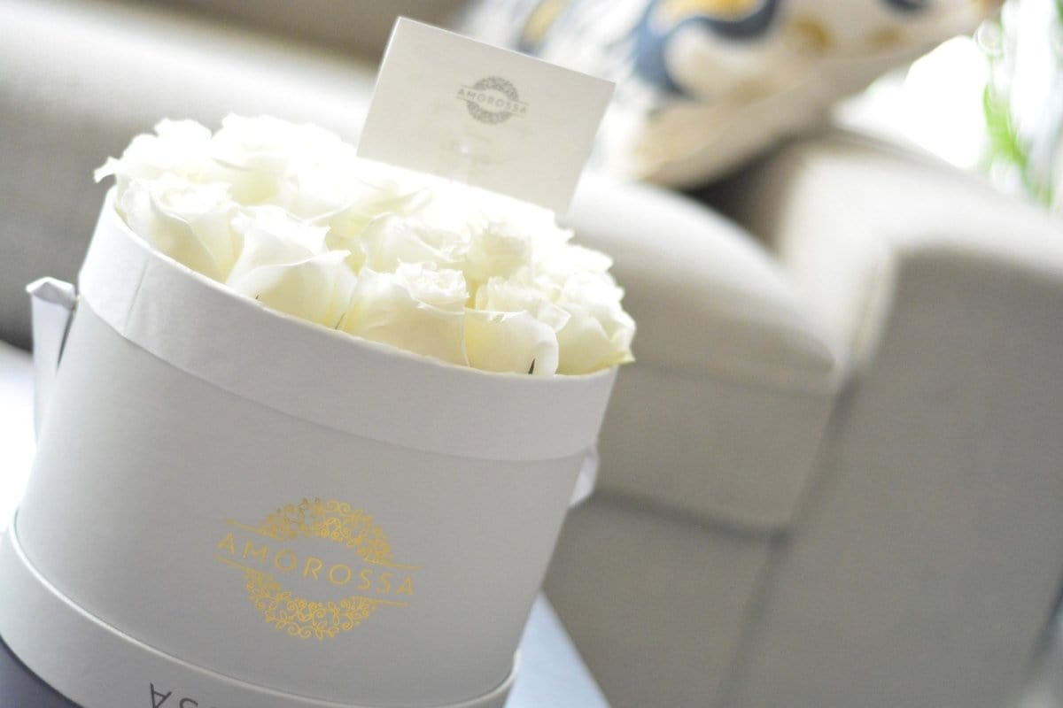 Regala LAVAN 24 - AMOROSSA