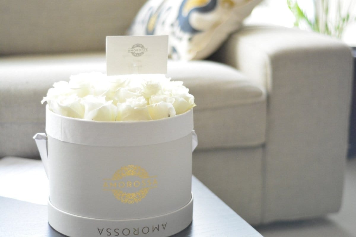 Regala LAVAN 24 - AMOROSSA