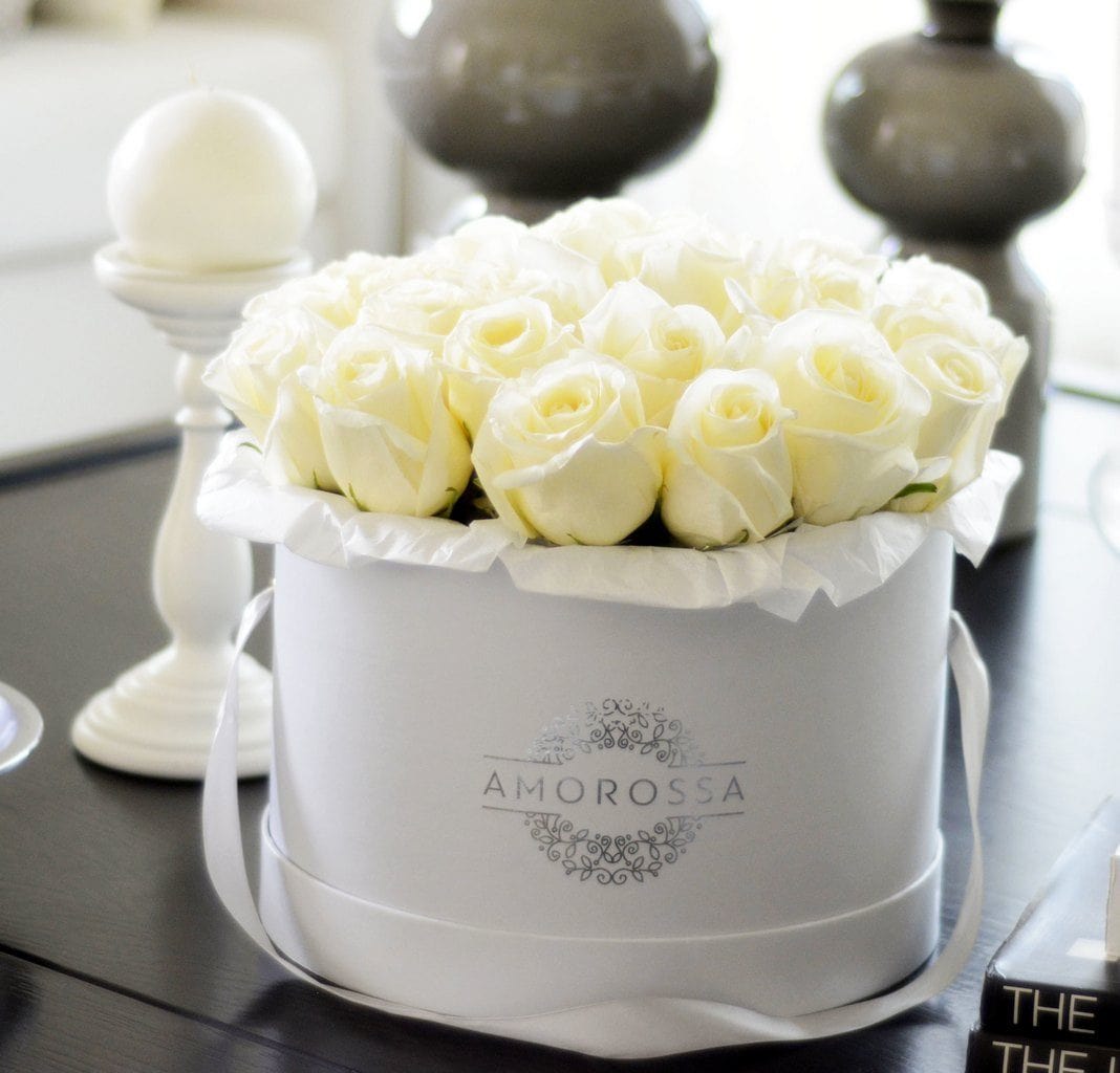 Regala LAVAN 48 - AMOROSSA