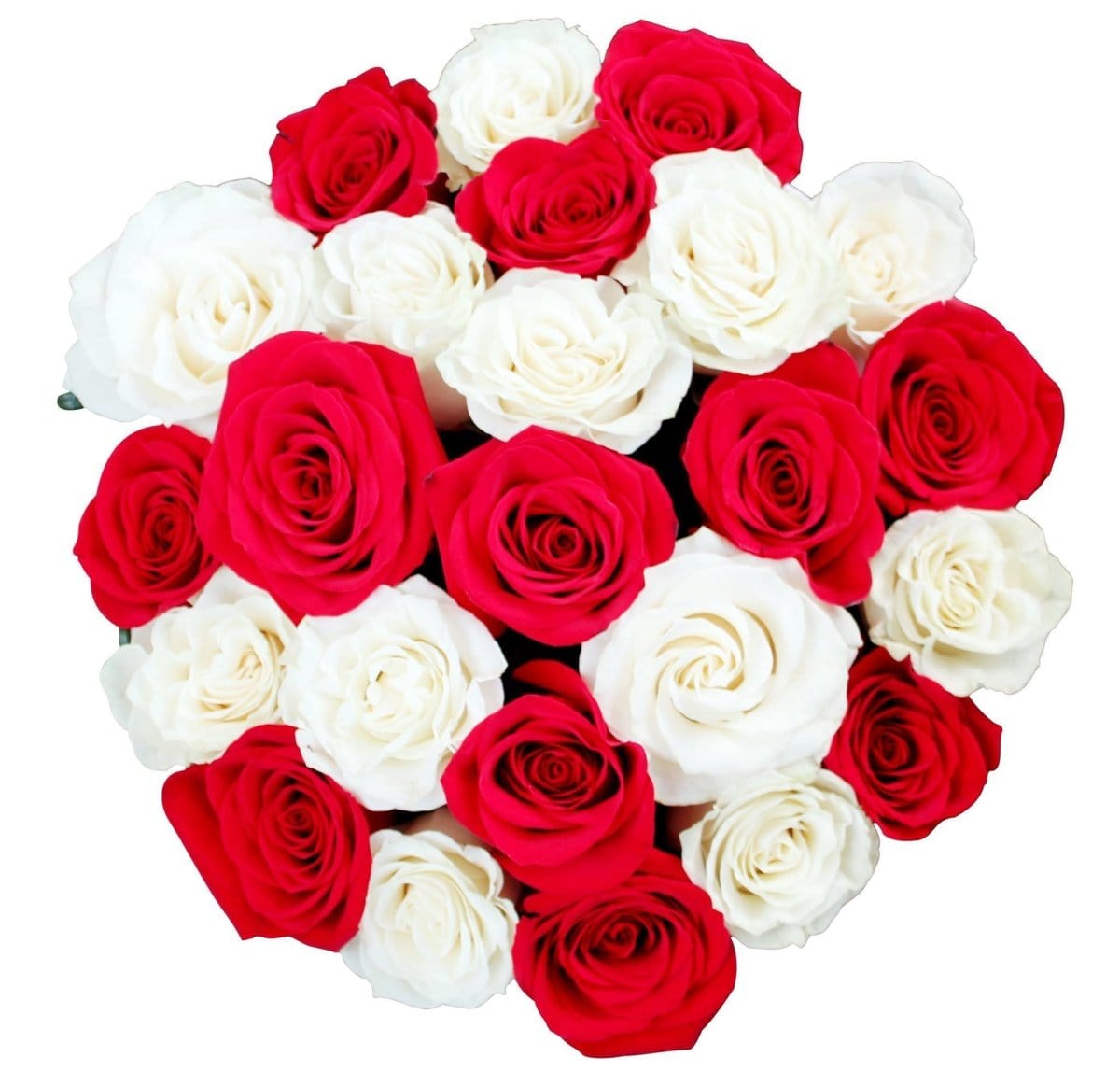 Regala LAVANADOM 24 - AMOROSSA