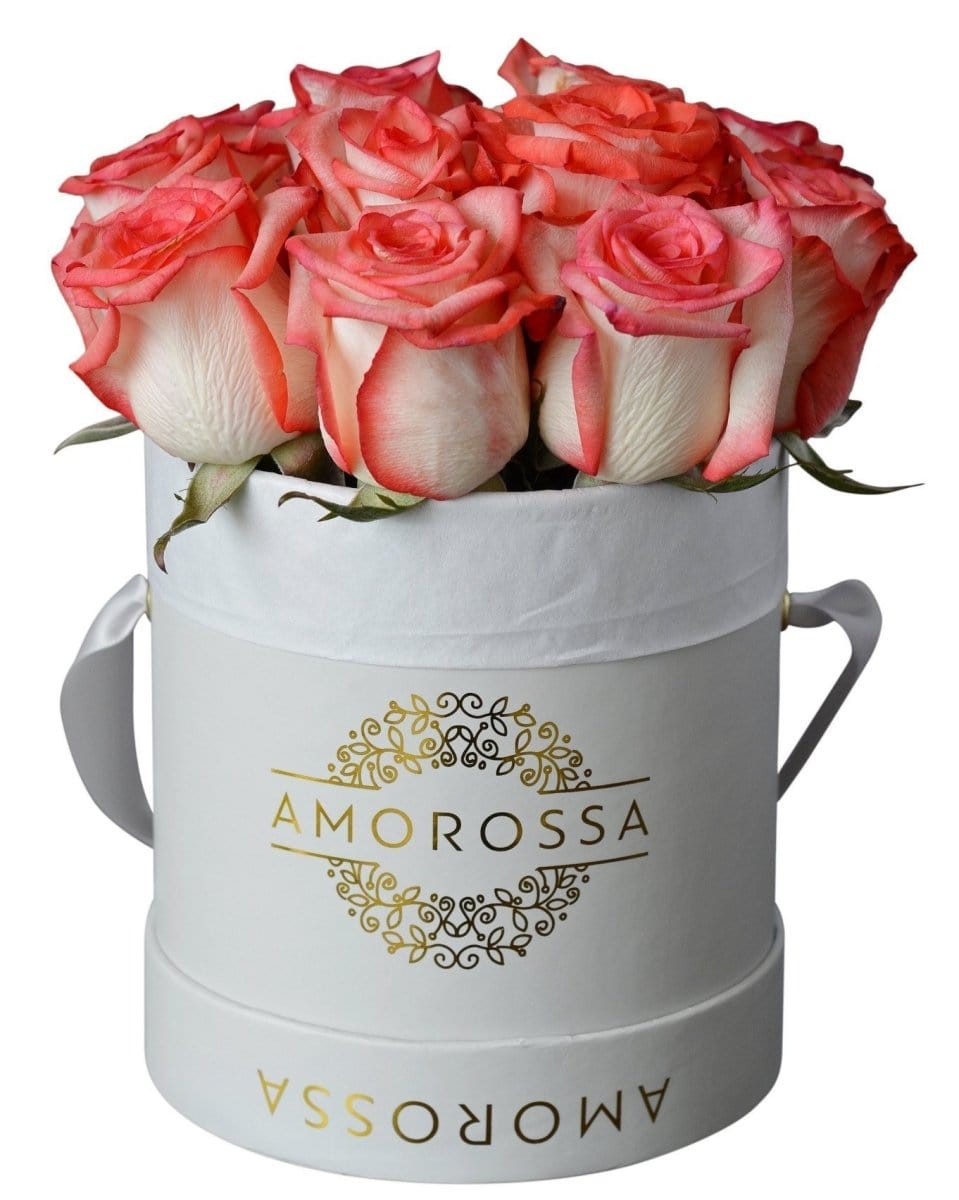 Regala LEHAVÁ 12 - AMOROSSA