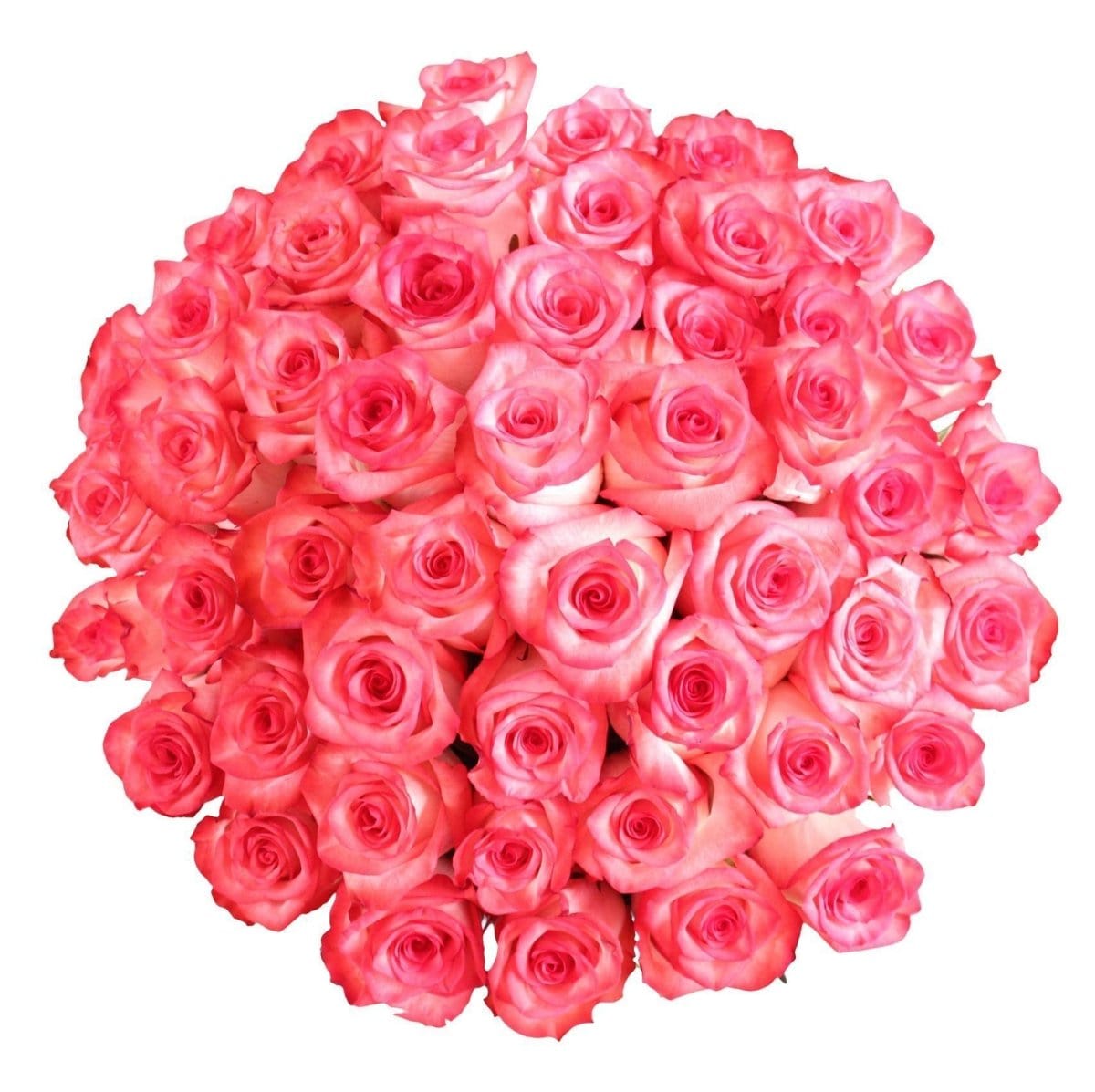 Regala LEHAVÁ 48 - AMOROSSA