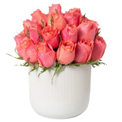 Regala Orange Breeze - AMOROSSA