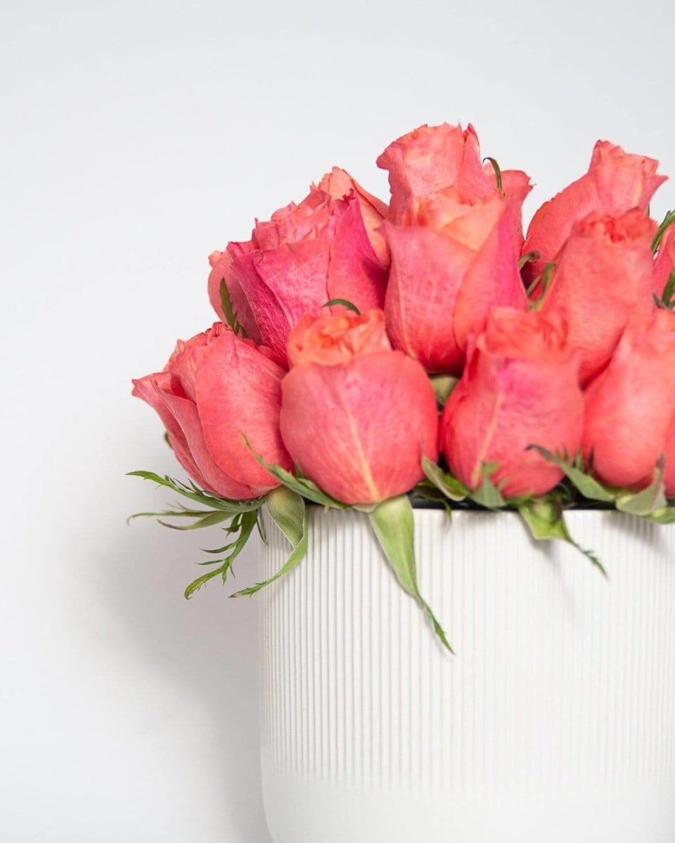 Regala Orange Breeze - AMOROSSA