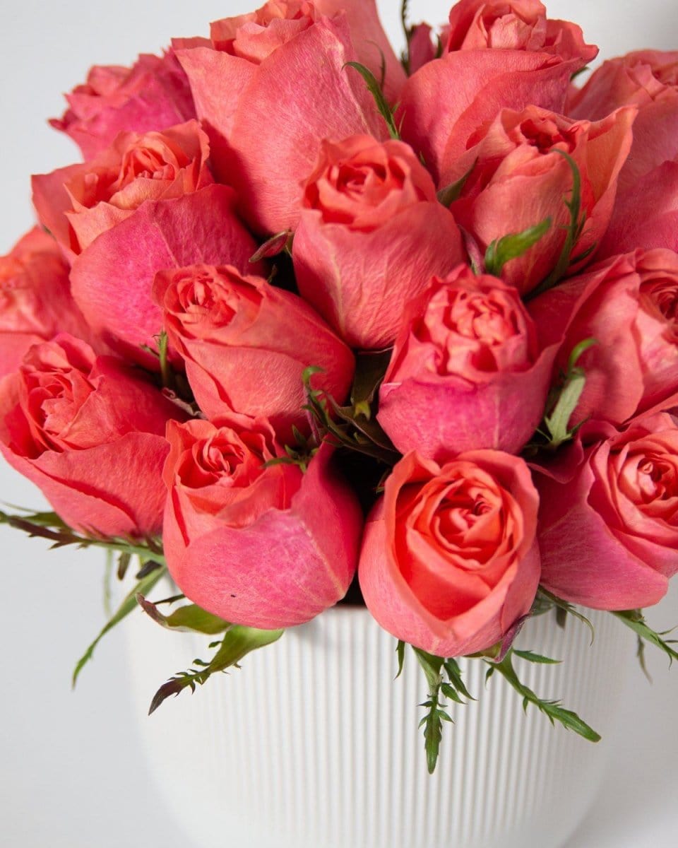 Regala Orange Breeze - AMOROSSA