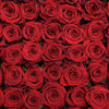 Regala Paquete 24 Rosas Grandes Importadas - AMOROSSA