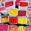 Regala Paquete 24 Rosas Grandes Importadas - AMOROSSA