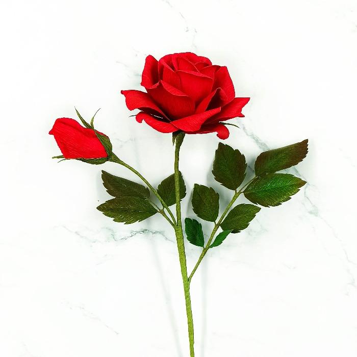 24 rosas de amor