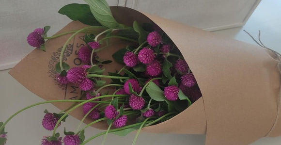 Regala Paquete de Gomphrenas - AMOROSSA