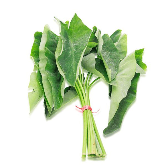 Regala Paquete de Hojas Elefante - AMOROSSA