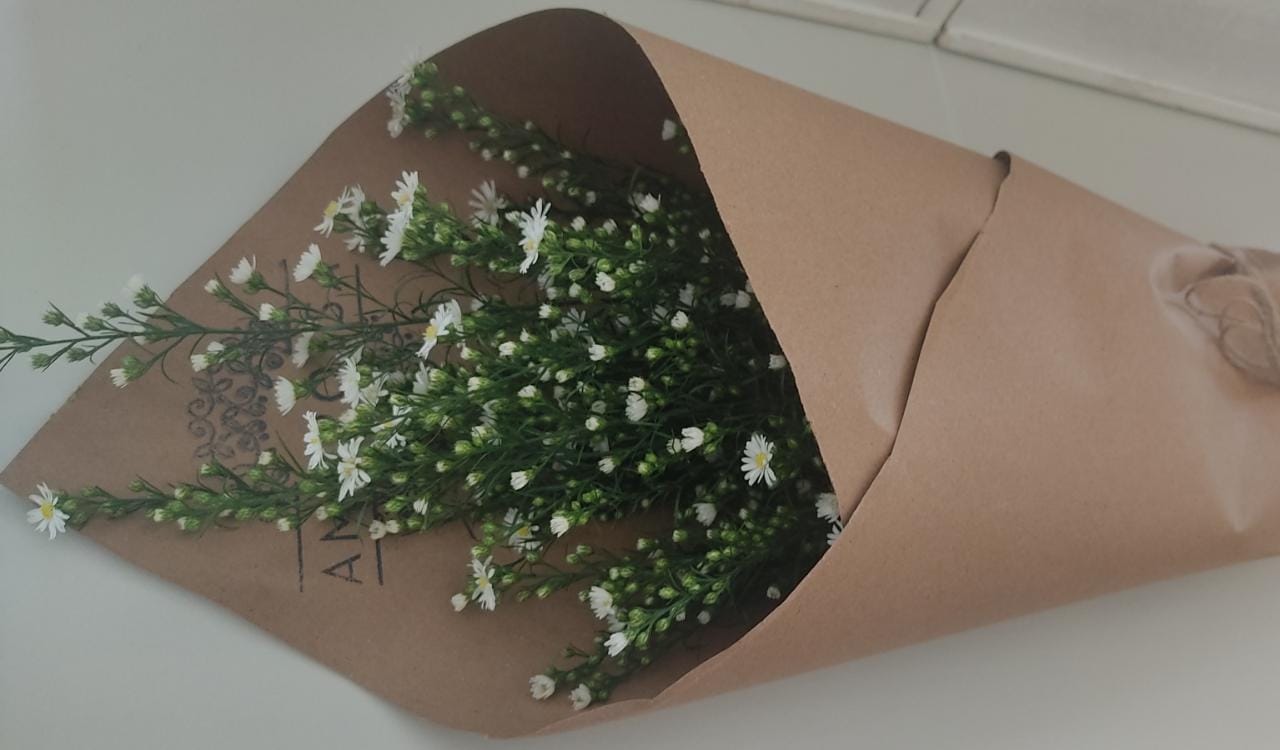 Regala Paquete de Montecasino - AMOROSSA