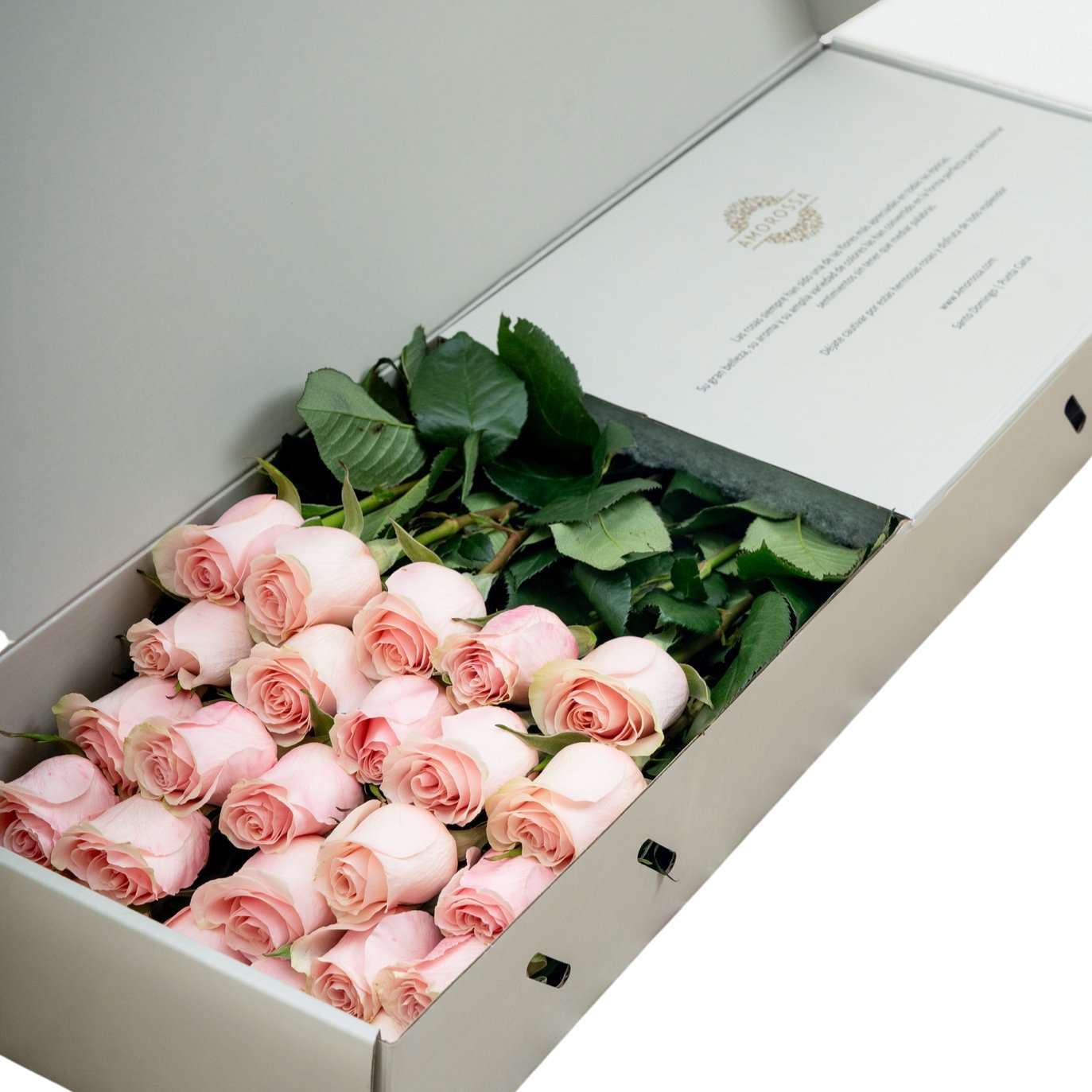 Regala Pink Novia Box - AMOROSSA