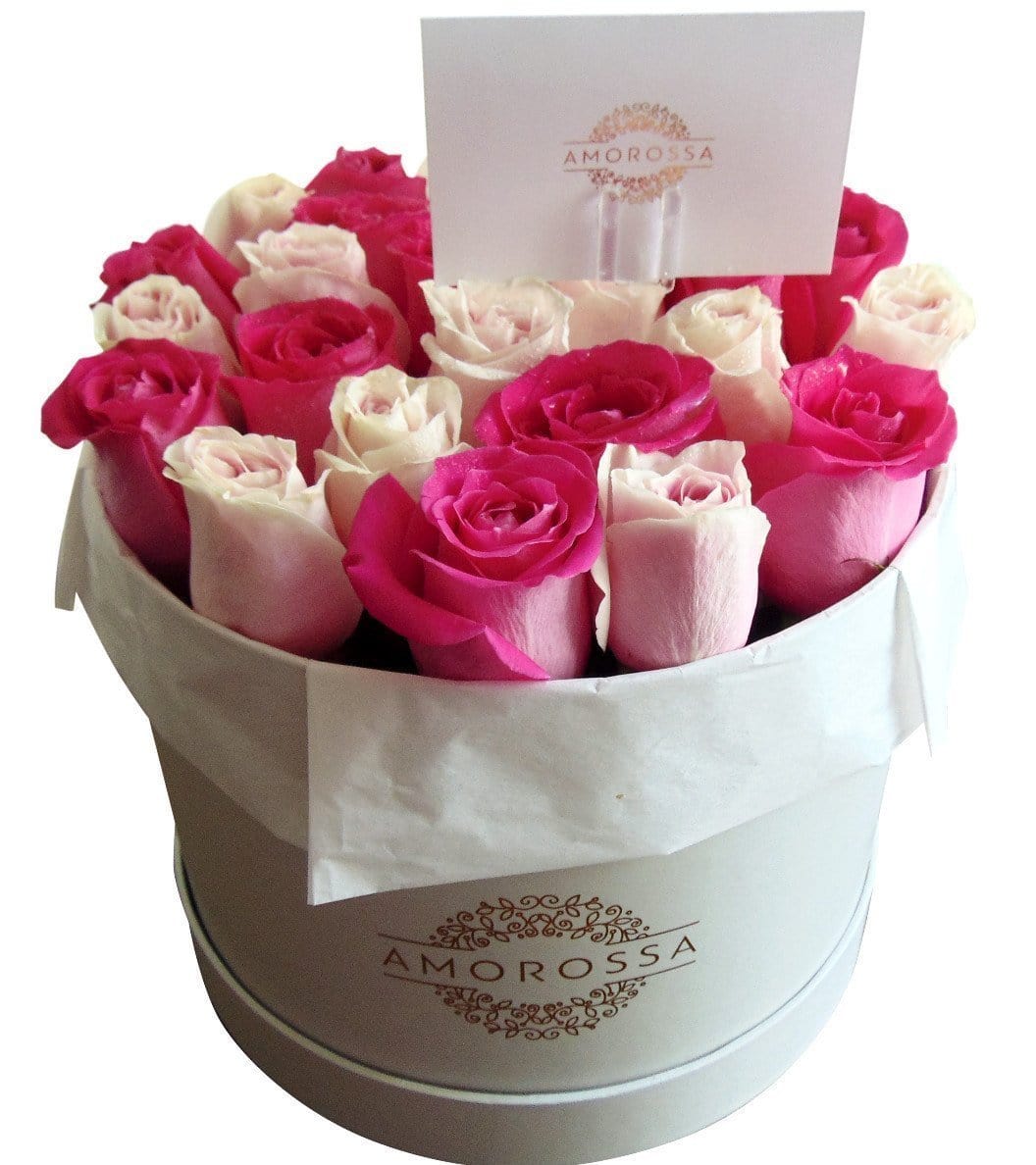 Regala PINKERBELLE 24 - AMOROSSA