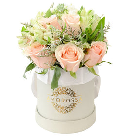 Regala Private Garden 12 - AMOROSSA