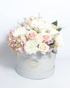 Regala Rosa Pastel - AMOROSSA