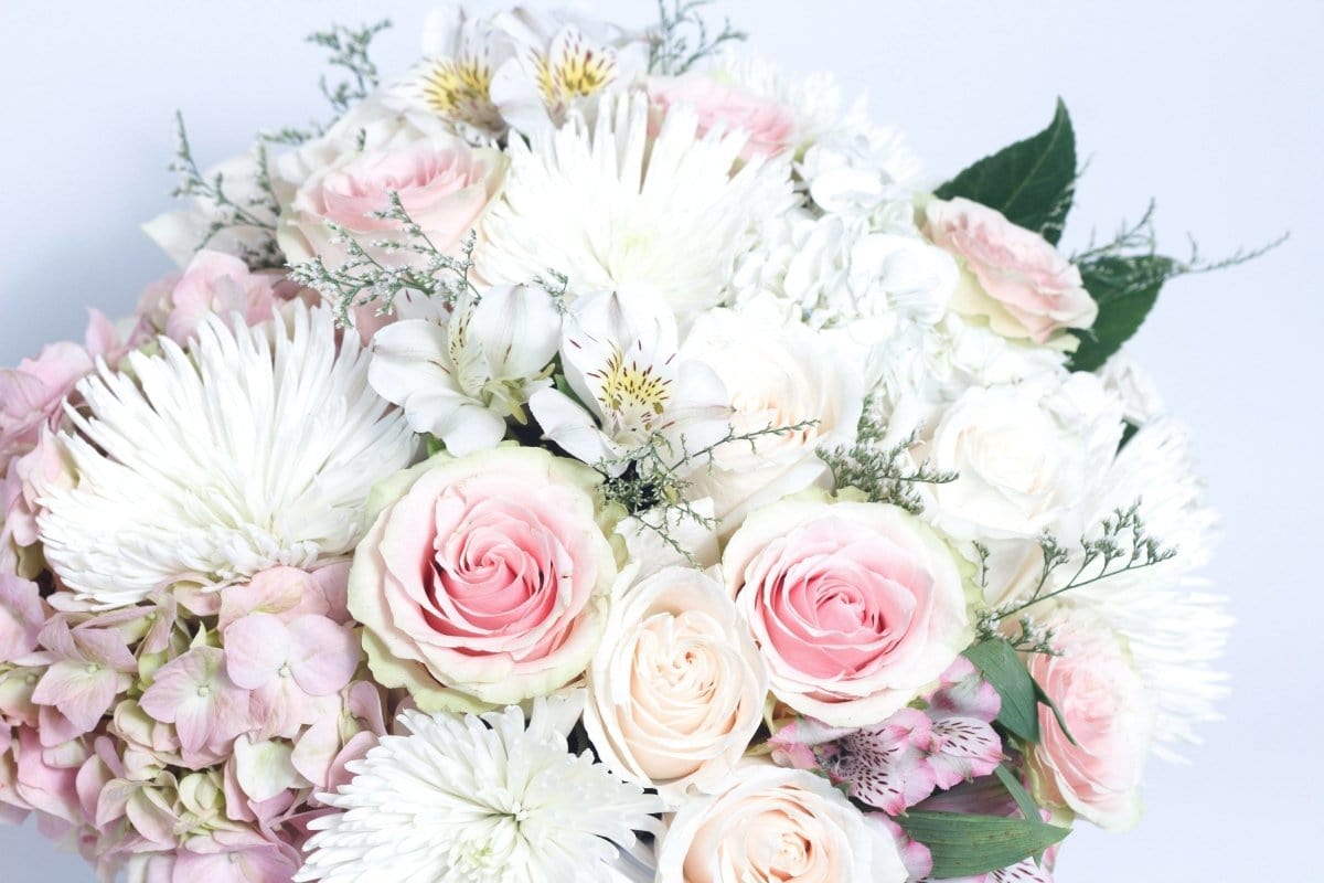 Regala Rosa Pastel - AMOROSSA