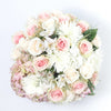 Regala Rosa Pastel - AMOROSSA