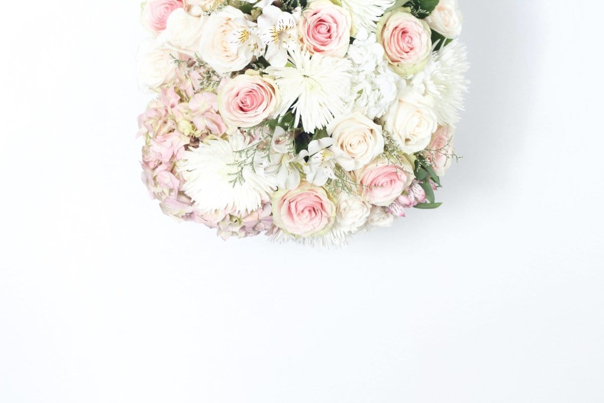 Regala Rosa Pastel - AMOROSSA