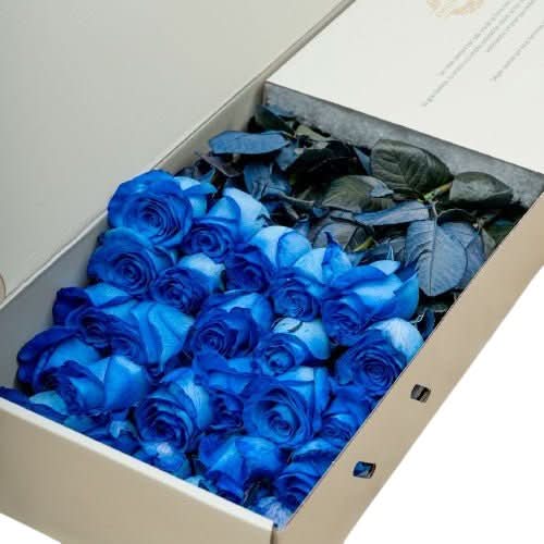 Royal Blue Box