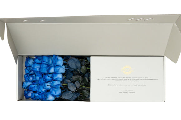 Regala Royal Blue Box - AMOROSSA