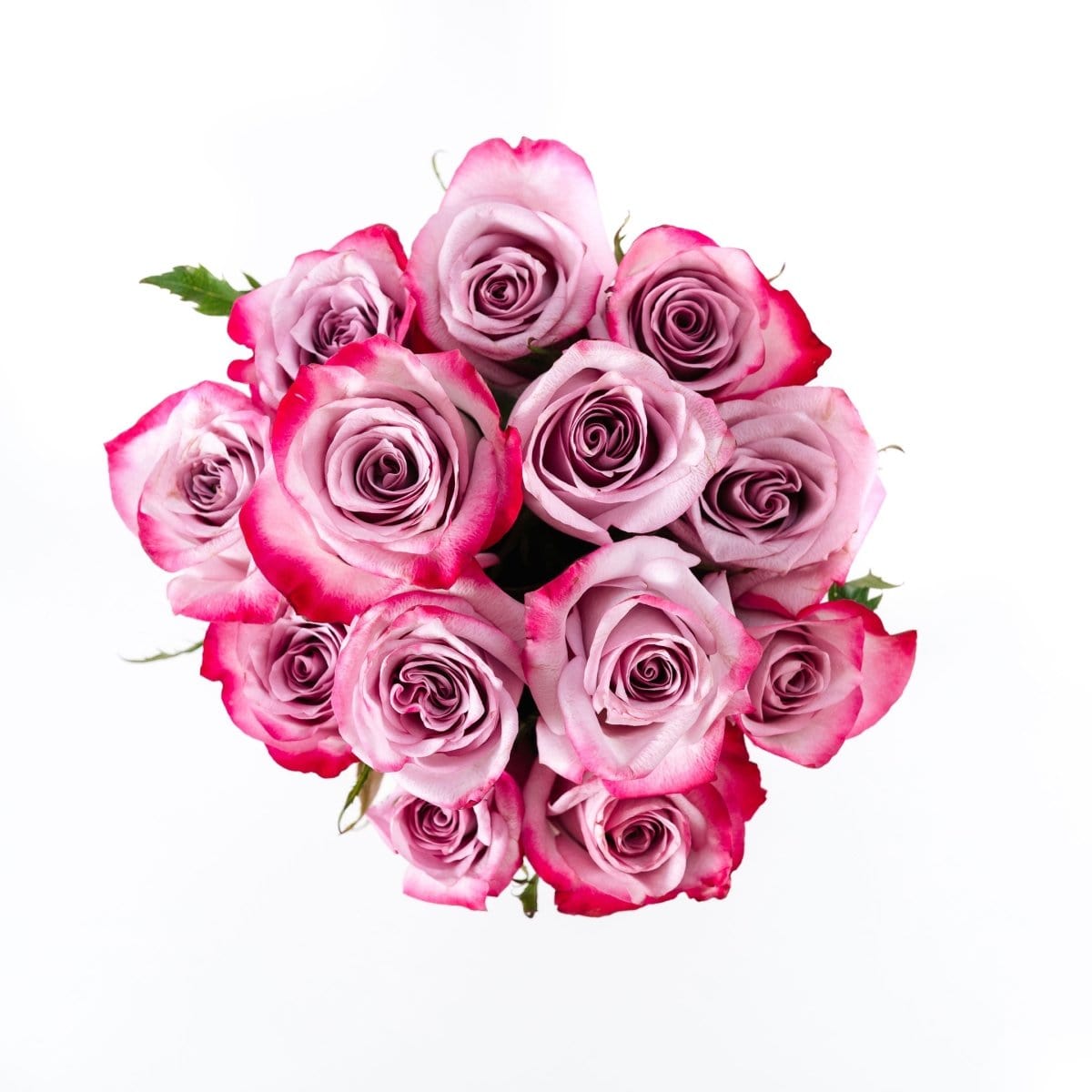 Regala SAGOL 12 - Pink Box - AMOROSSA