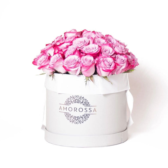 AMOROSSA - SAGOL 48 - Elegant arrangement of 48 pink roses in a white Amorossa box, perfect for Regalar Flores and Delivery rapido de flores.