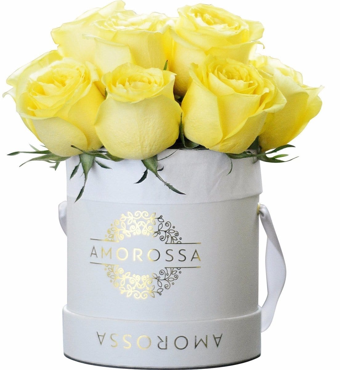 Regala SAVION 12 - AMOROSSA