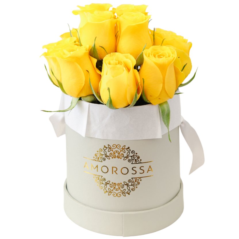 Regala SAVION 12 - AMOROSSA