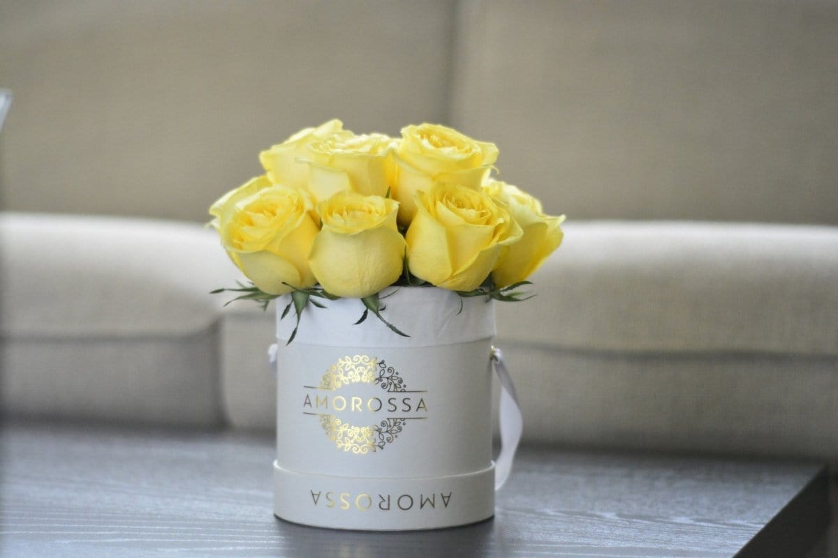 Regala SAVION 12 - AMOROSSA