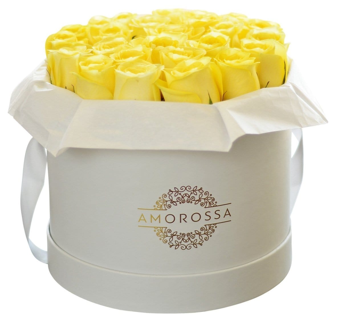 Regala SAVION 24 - AMOROSSA