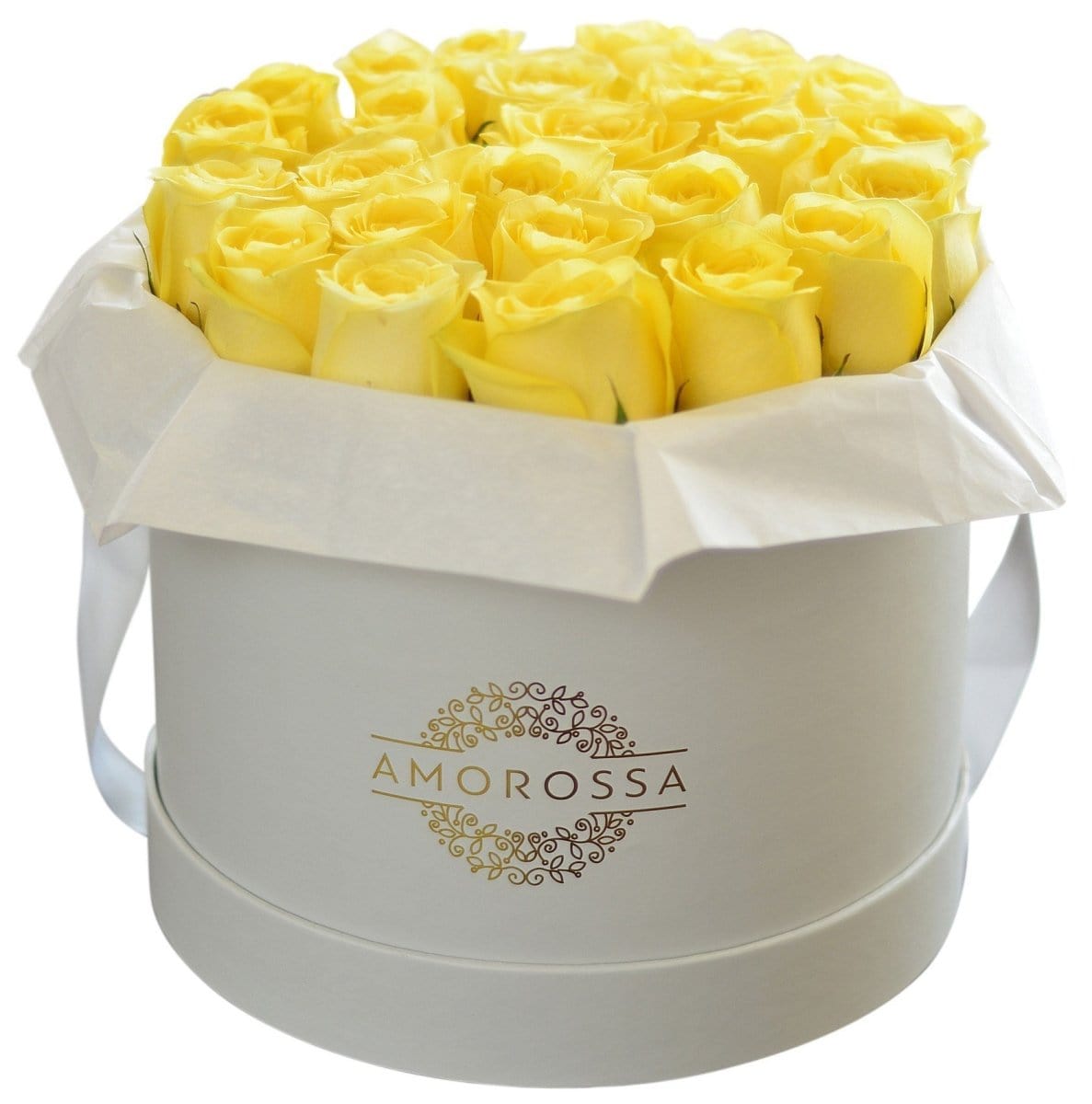 Regala SAVION 24 - AMOROSSA