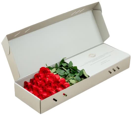 Spanish Red Dress Box