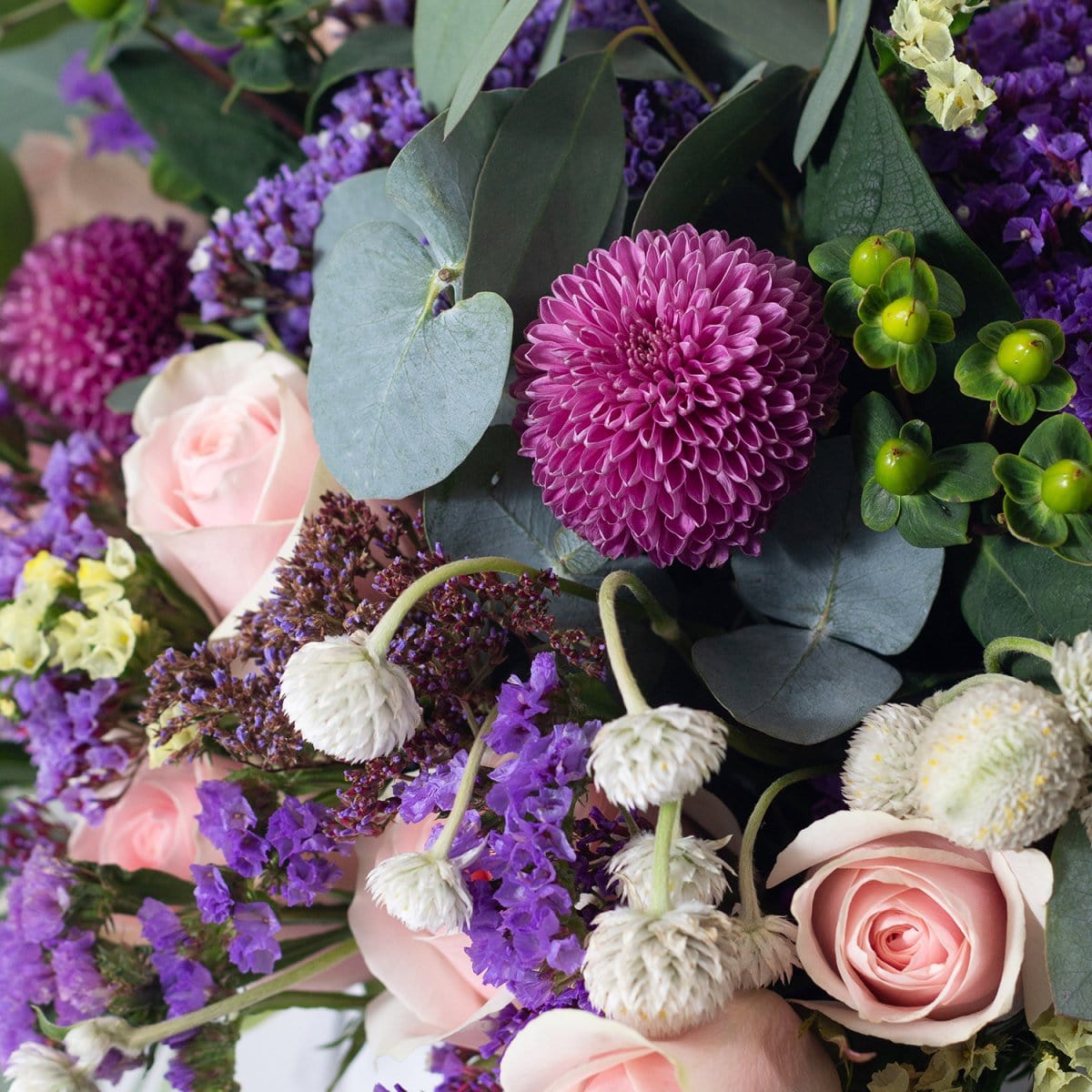 Regala The Karen - AMOROSSA