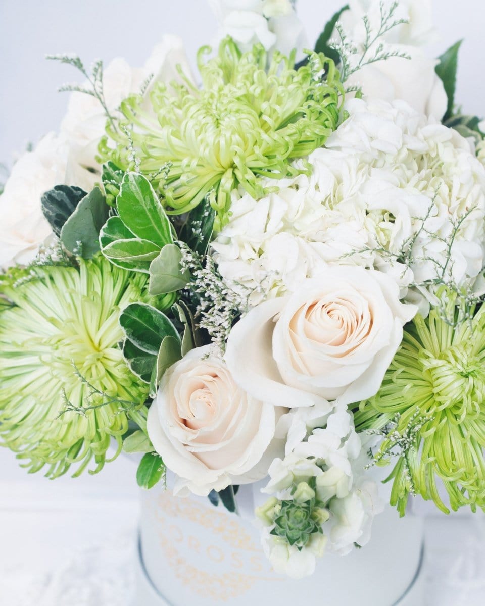 Regala Tranquillity - AMOROSSA