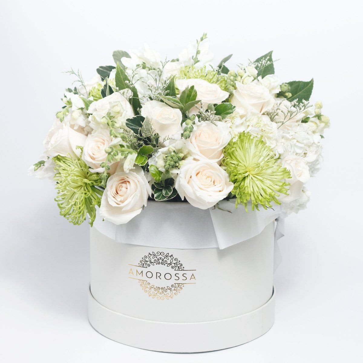 Regala Tranquillity - AMOROSSA