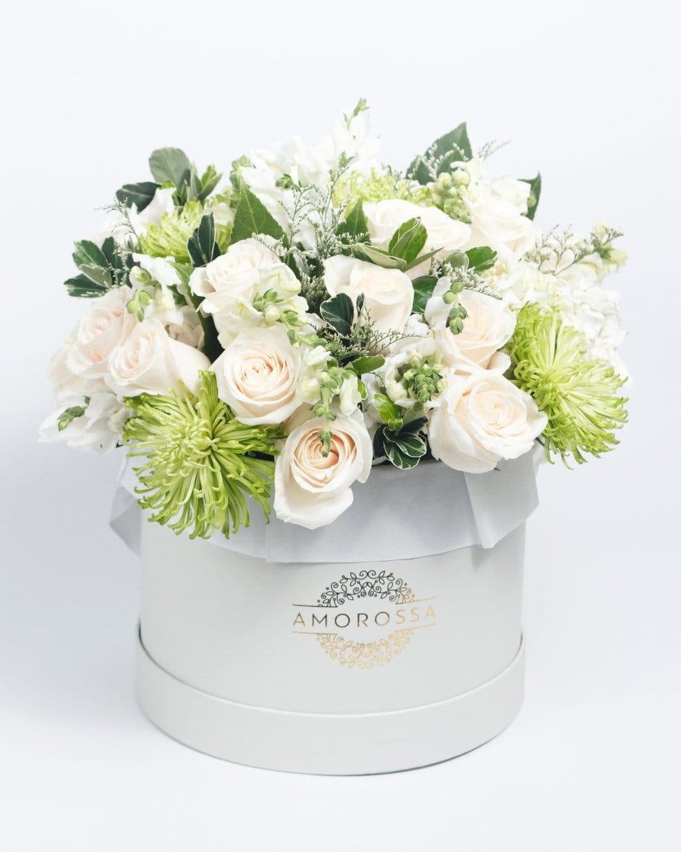 Regala Tranquillity - AMOROSSA