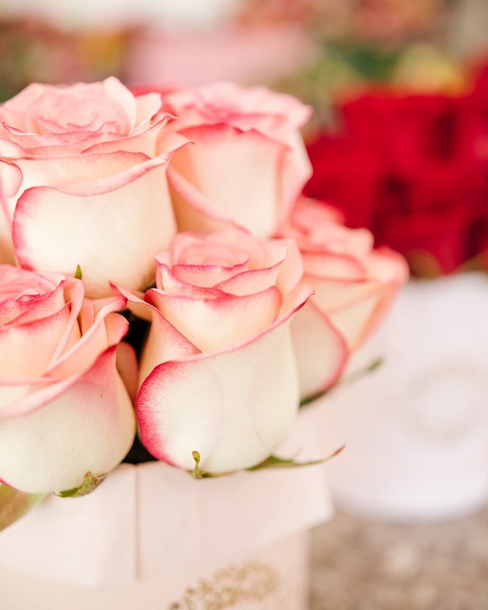 Regala Varod 12 Pink Box - AMOROSSA