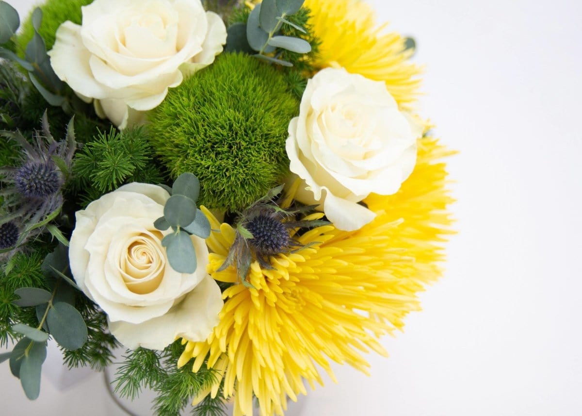 Regala Yellow & White Delight - AMOROSSA